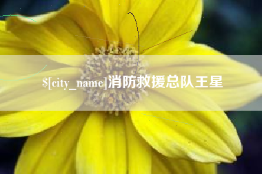 渭南消防救援总队王星