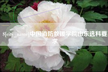 渭南中国消防救援学院山东选科要求