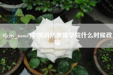 渭南中国消防救援学院什么时候政审