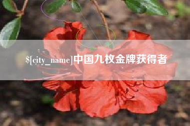 渭南中国九枚金牌获得者