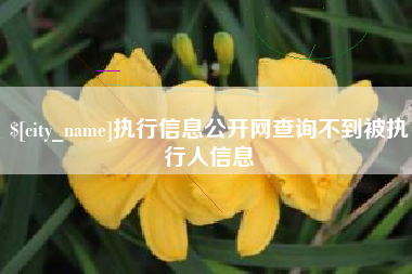 渭南执行信息公开网查询不到被执行人信息