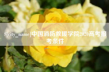 渭南中国消防救援学院2020高考报考条件