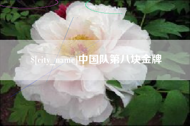 渭南中国队第八块金牌