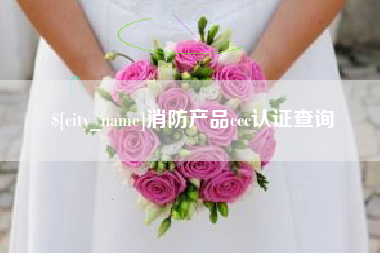 渭南消防产品ccc认证查询