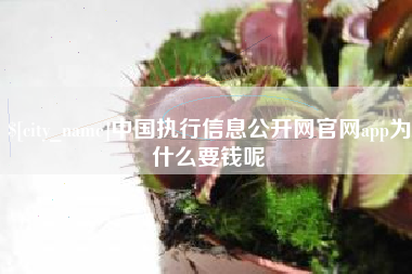 渭南中国执行信息公开网官网app为什么要钱呢