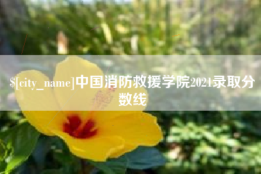 渭南中国消防救援学院2021录取分数线
