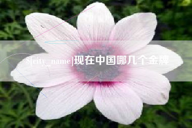 渭南现在中国哪几个金牌