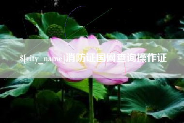 渭南消防证国网查询操作证