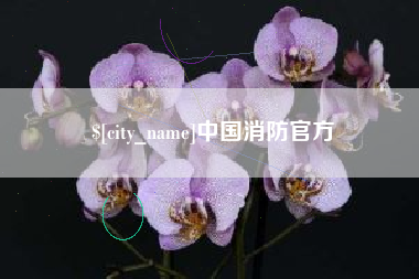 渭南中国消防官方
