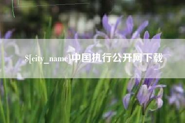 渭南中国执行公开网下载
