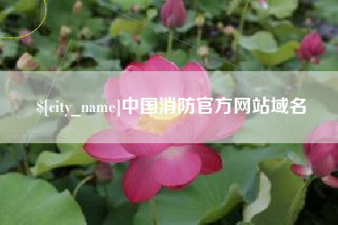 渭南中国消防官方网站域名