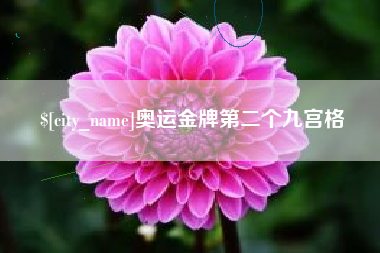 渭南奥运金牌第二个九宫格