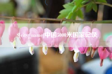 渭南中国5000米国家记录