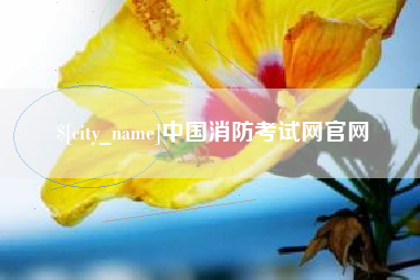 渭南中国消防考试网官网