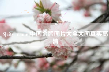 渭南中国金牌图片大全大图真实高清