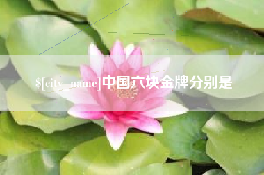 渭南中国六块金牌分别是