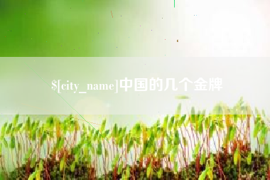 渭南中国的几个金牌