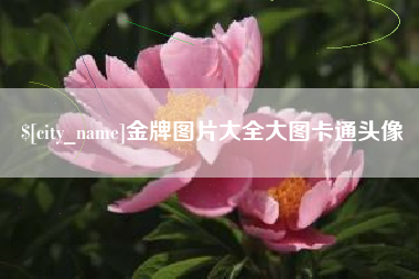 渭南金牌图片大全大图卡通头像