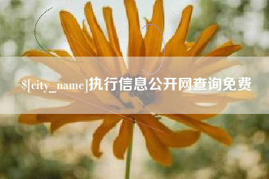 渭南执行信息公开网查询免费
